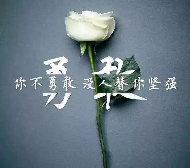 最新影視劇，引領視覺盛宴，探索未知世界
