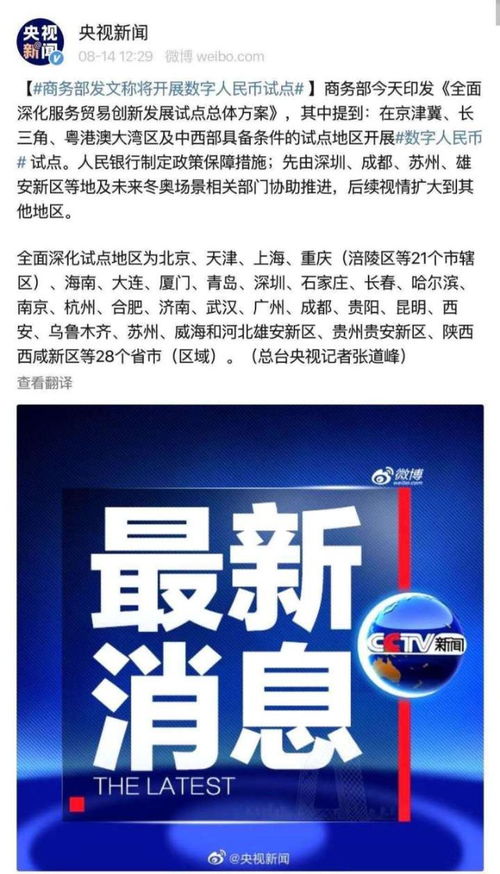 鯨錢(qián)包最新消息，引領(lǐng)數(shù)字金融的新浪潮